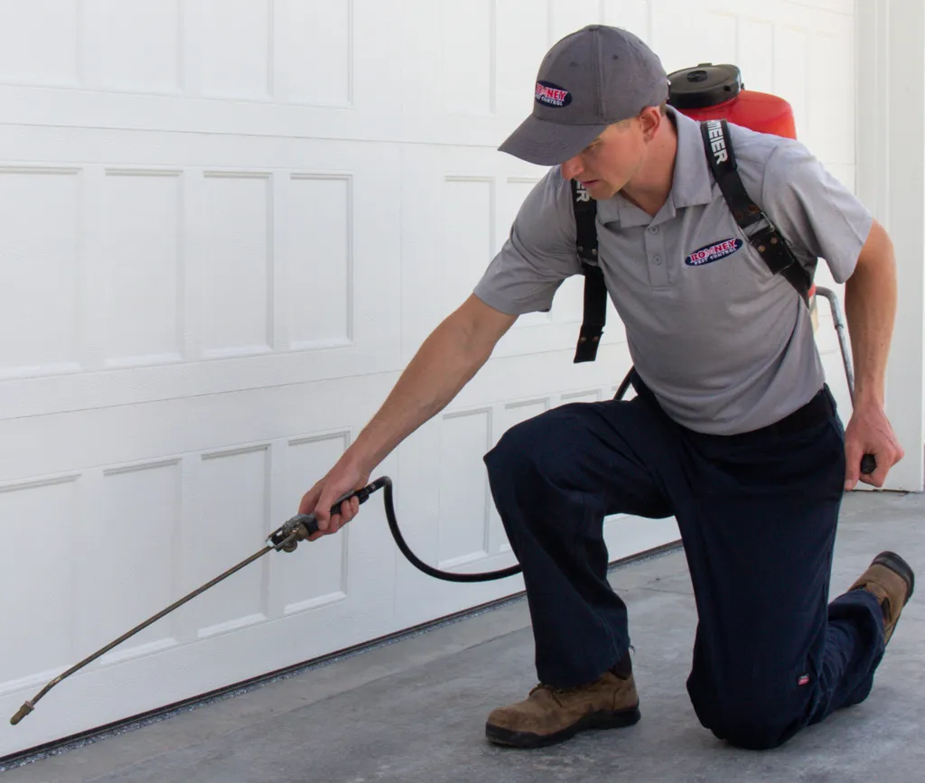 Romney Pest Control - Houston in Houston, TX — business photo 2