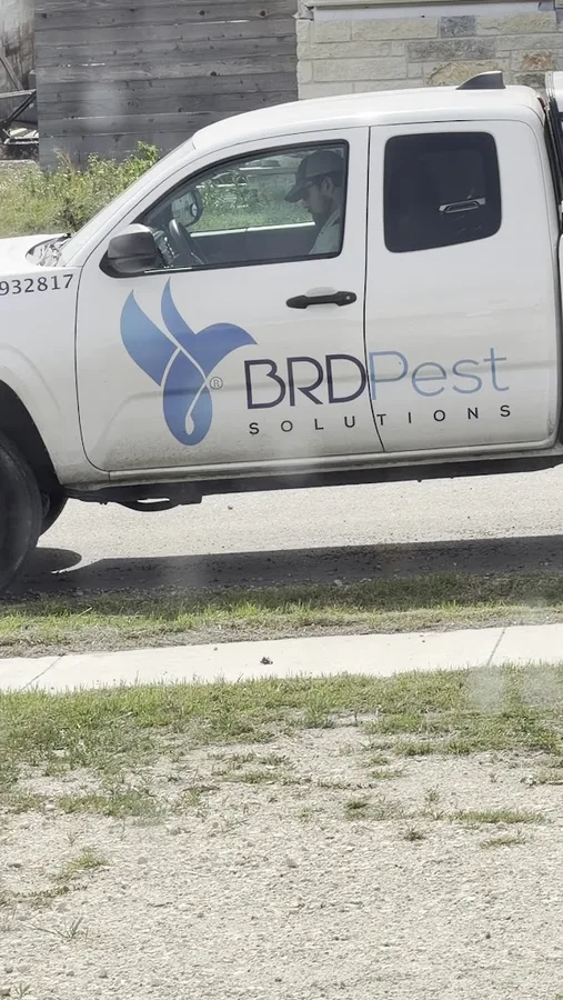 BRD Pest Solutions in Selma, TX — business photo 4