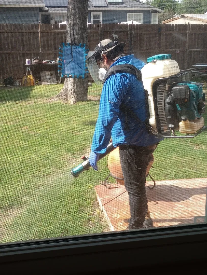 Adios Pest Control — pest control in San Antonio, BEXAR County, TX