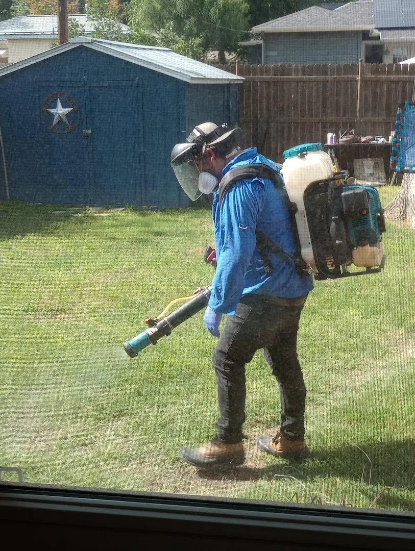 Adios Pest Control in San Antonio, TX — business photo 4