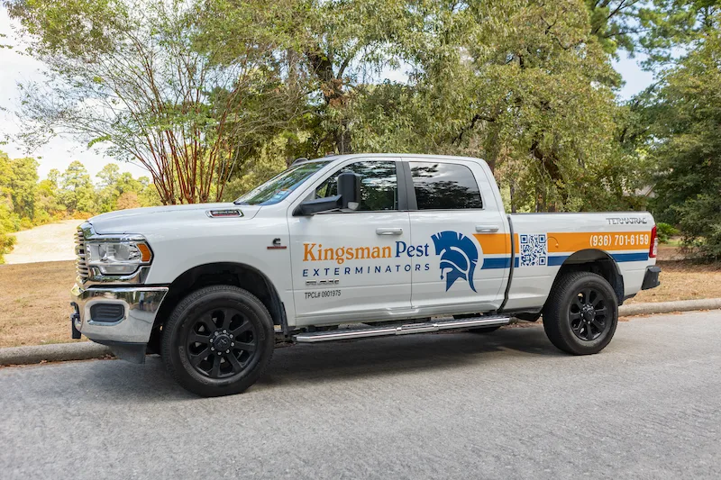 Kingsman Pest Exterminators — pest control in The Woodlands, MONTGOMERY County, TX