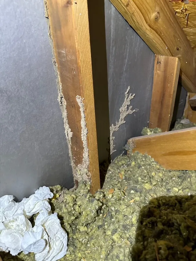 Kingsman Pest Exterminators in The Woodlands, TX — business photo 5