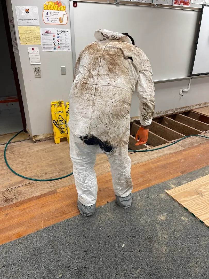 Resolve Pest And Termite Control in Houston, TX — business photo 3