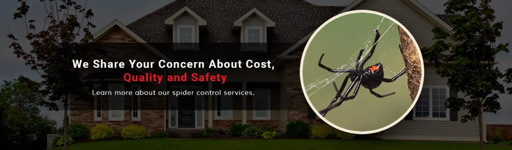 Pest Management Services in Lubbock, TX — business photo 2