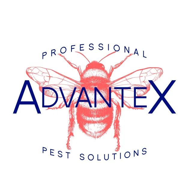Advantex Pro Solutions — pest control in Dallas, DALLAS County, TX