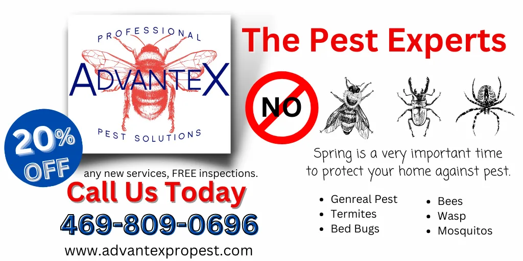 Advantex Pro Solutions in Dallas, TX — business photo 2