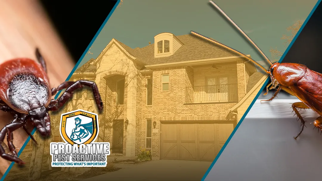 Proactive Pest Services in Dallas, TX — business photo 3