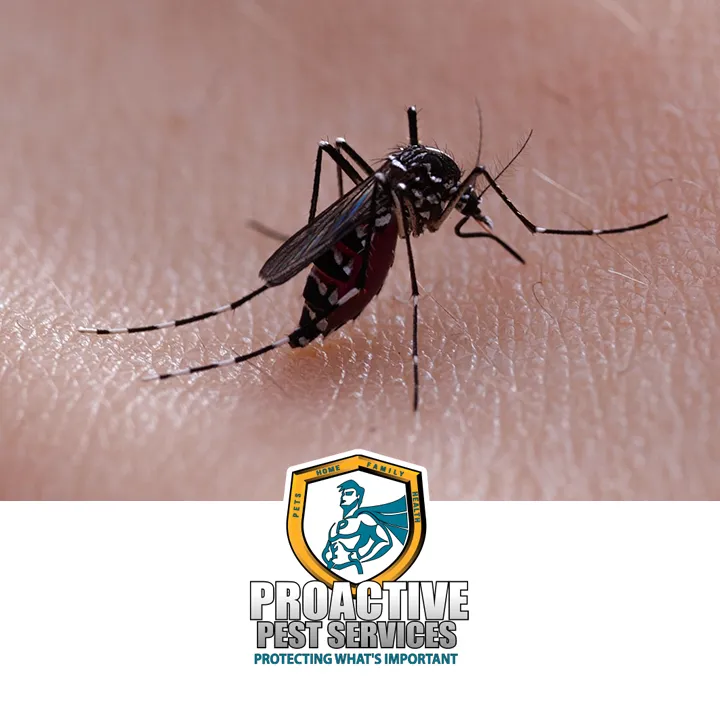 Proactive Pest Services in Dallas, TX — business photo 4