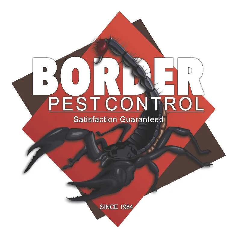 Border Pest Control — pest control in Eagle Pass, MAVERICK County, TX