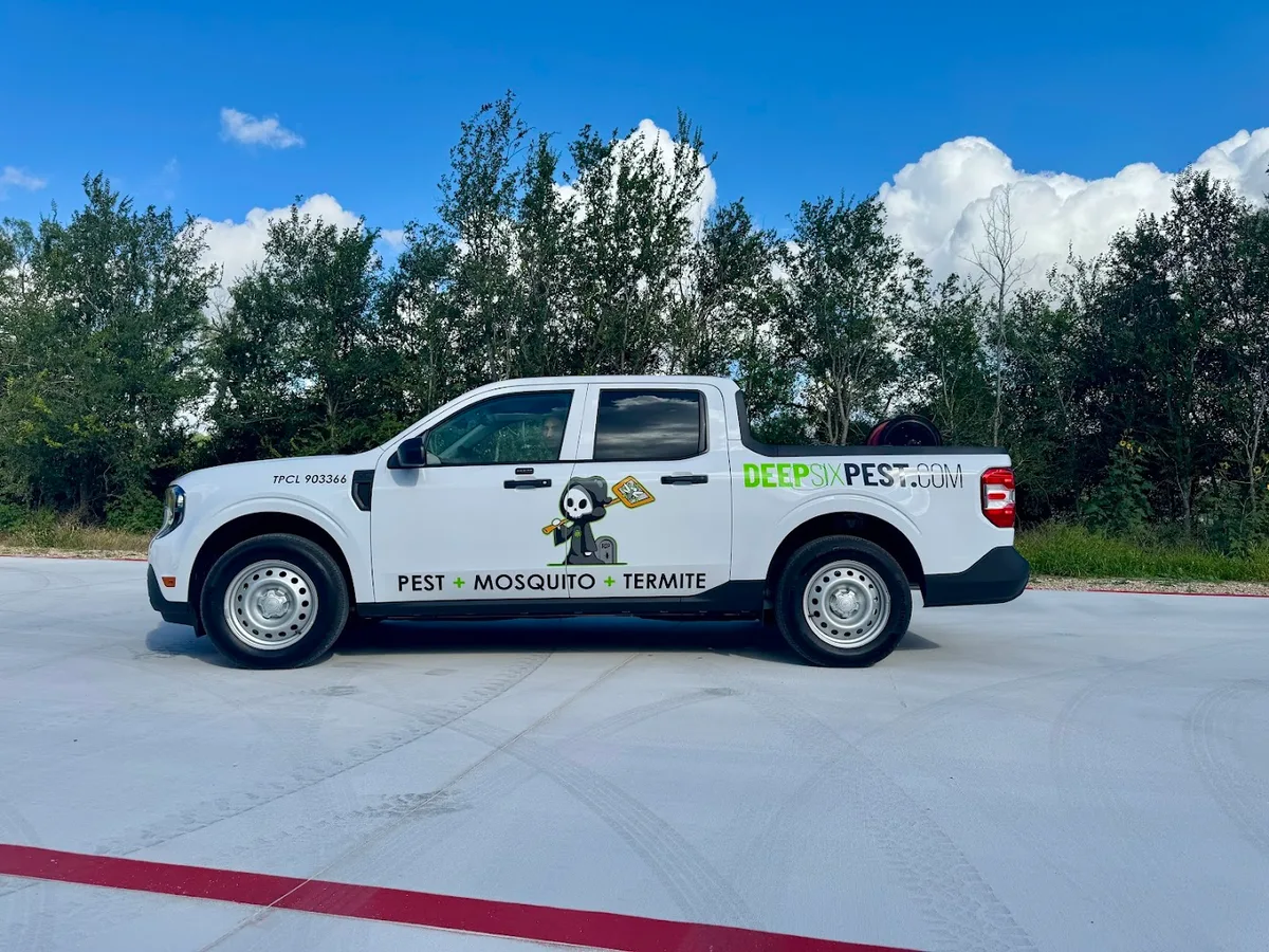 Deep Six Pest Control in New Braunfels, TX — business photo 3