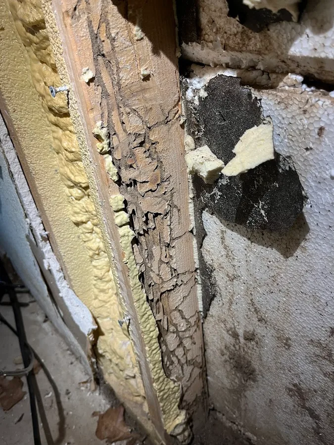 Deep Six Pest Control in New Braunfels, TX — business photo 4