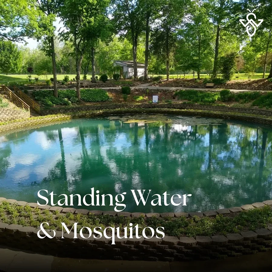 WeServe Pest Solutions in Wylie, TX — business photo 6