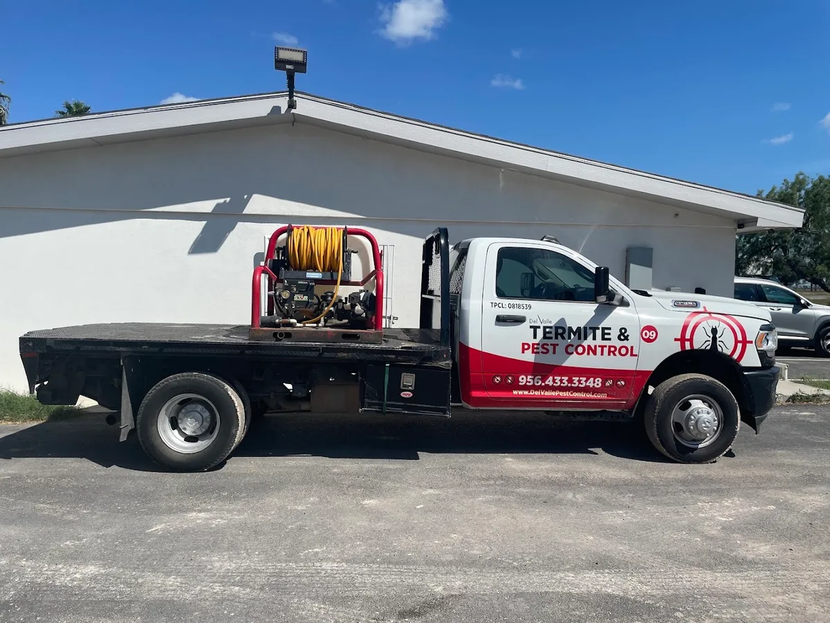 RGV Termite Pest Control — pest control in Edinburg, HIDALGO County, TX