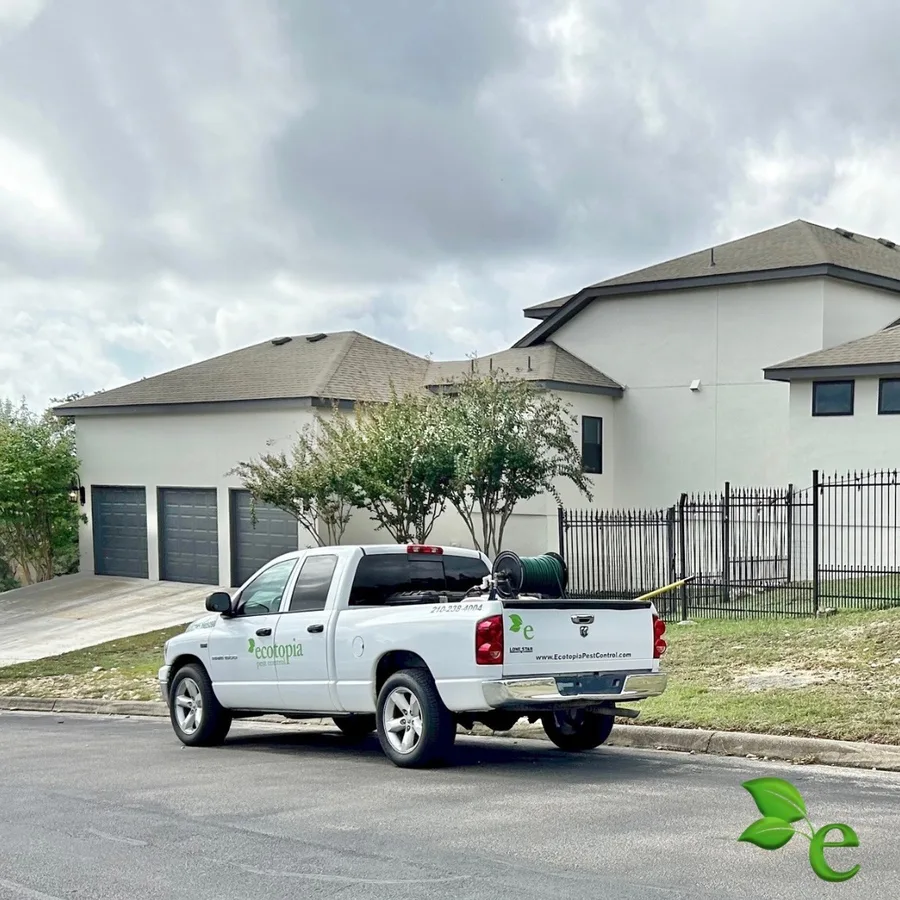 Ecotopia Pest Control — pest control in San Antonio, BEXAR County, TX