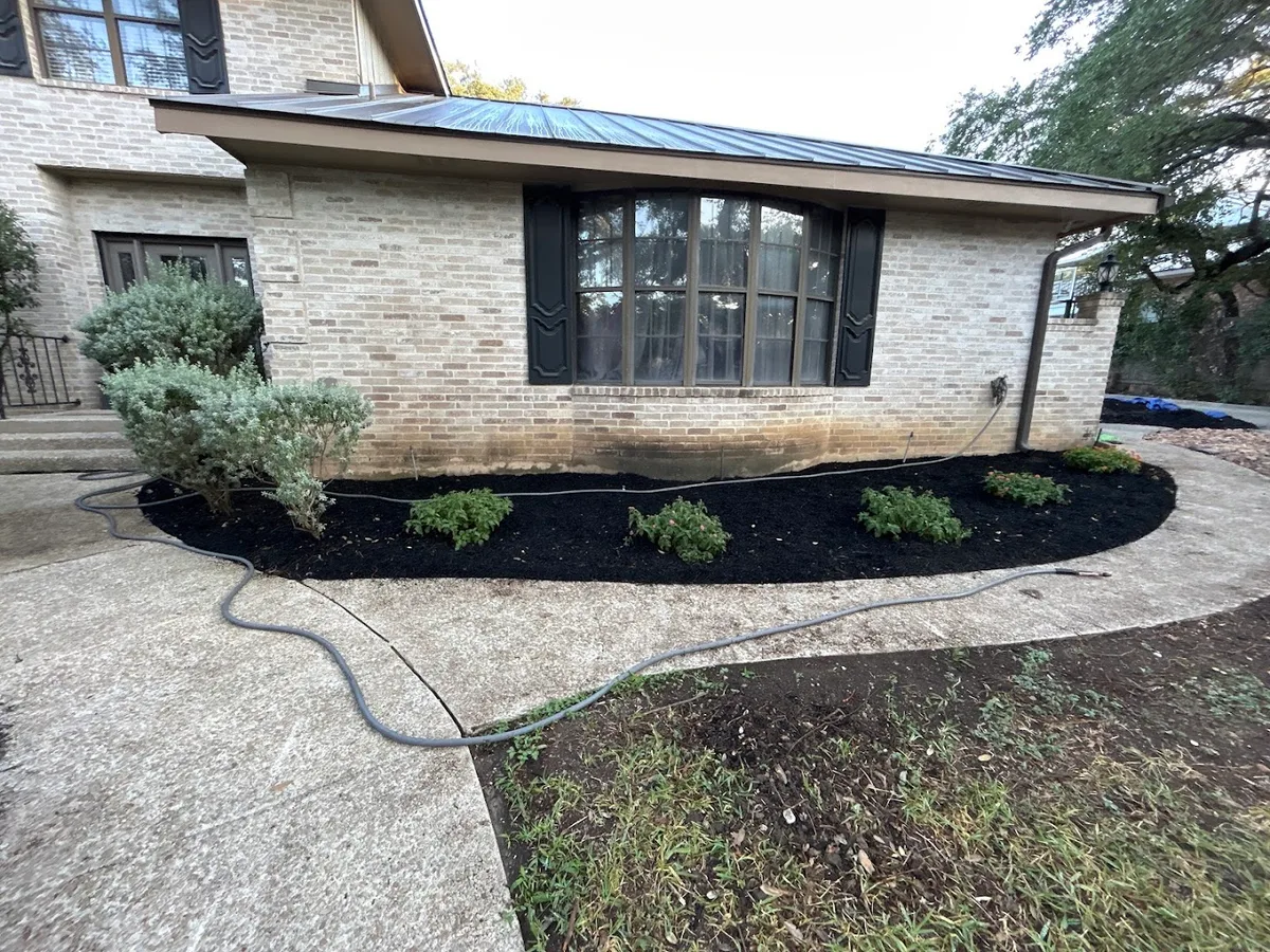Preempt Pest & Lawn Service — pest control in San Antonio, BEXAR County, TX