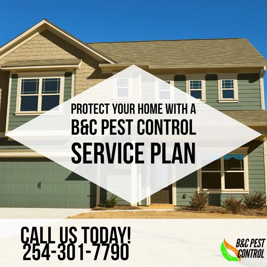 B and C Pest Control in Waco, TX — business photo 2