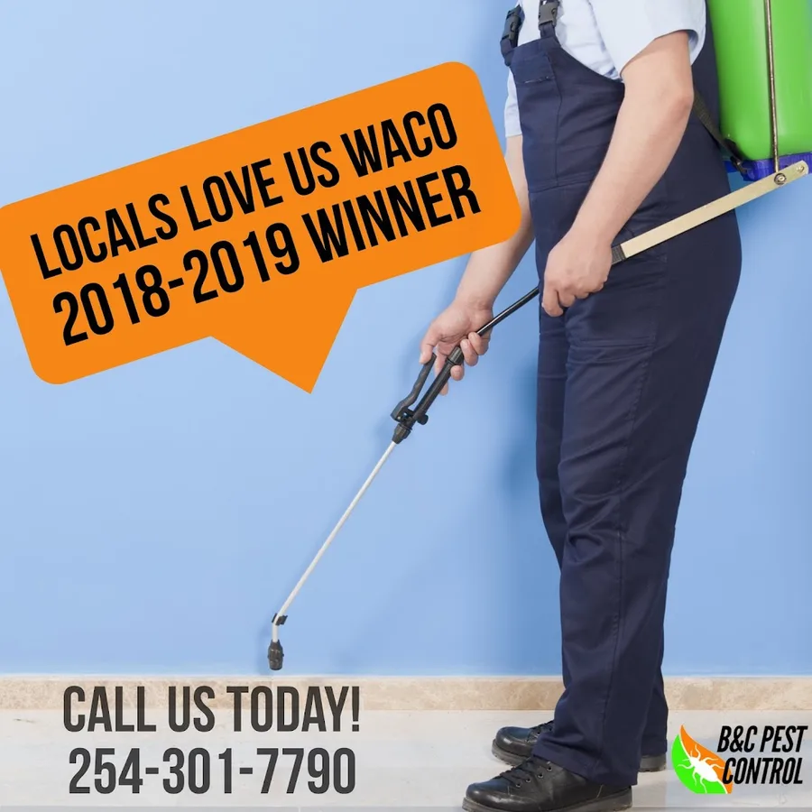 B and C Pest Control in Waco, TX — business photo 3