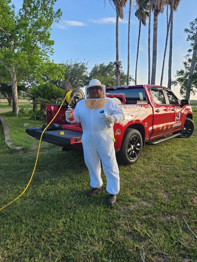 D1 Pest Control — pest control in Edinburg, HIDALGO County, TX