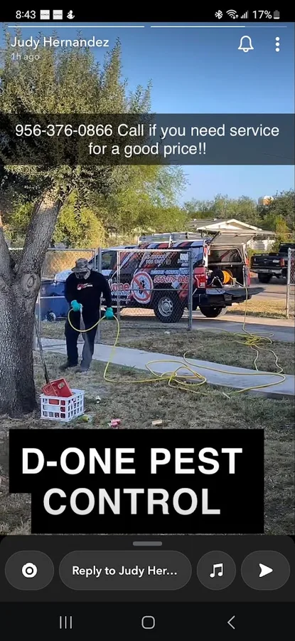 D1 Pest Control in Edinburg, TX — business photo 6