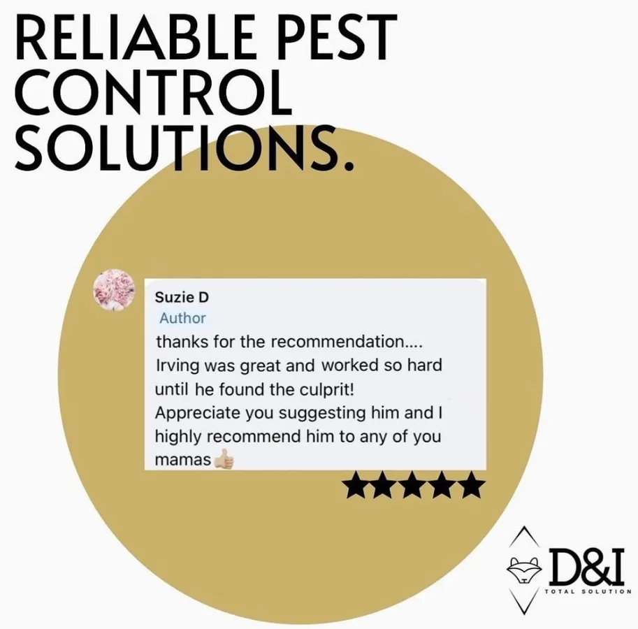 D&I Pest Control - 10+ Years Experience in New Braunfels, TX — business photo 5