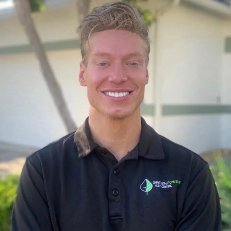 GreenPower Pest Control — pest control in Dallas, DALLAS County, TX