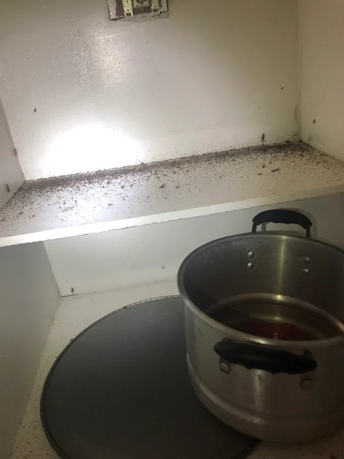 RDZ Pest Control in Brownsville, TX — business photo 3