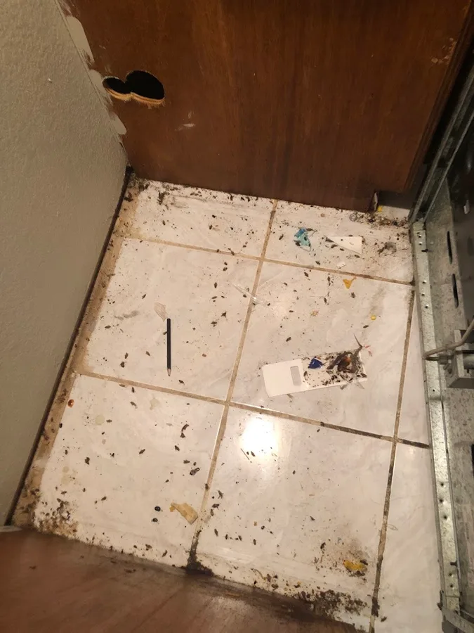 RDZ Pest Control in Brownsville, TX — business photo 6