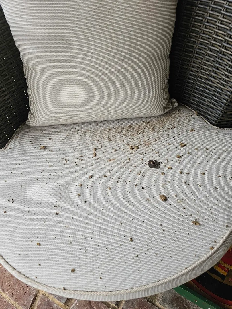Gann's Pest Control and Termite Control in Fort Worth, TX — business photo 3