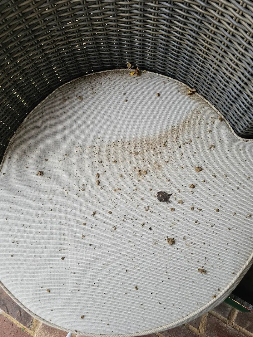 Gann's Pest Control and Termite Control in Fort Worth, TX — business photo 4
