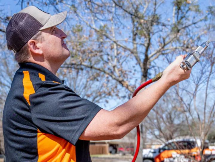 Your Hometown Pest Control — pest control in Sulphur Springs, HOPKINS County, TX