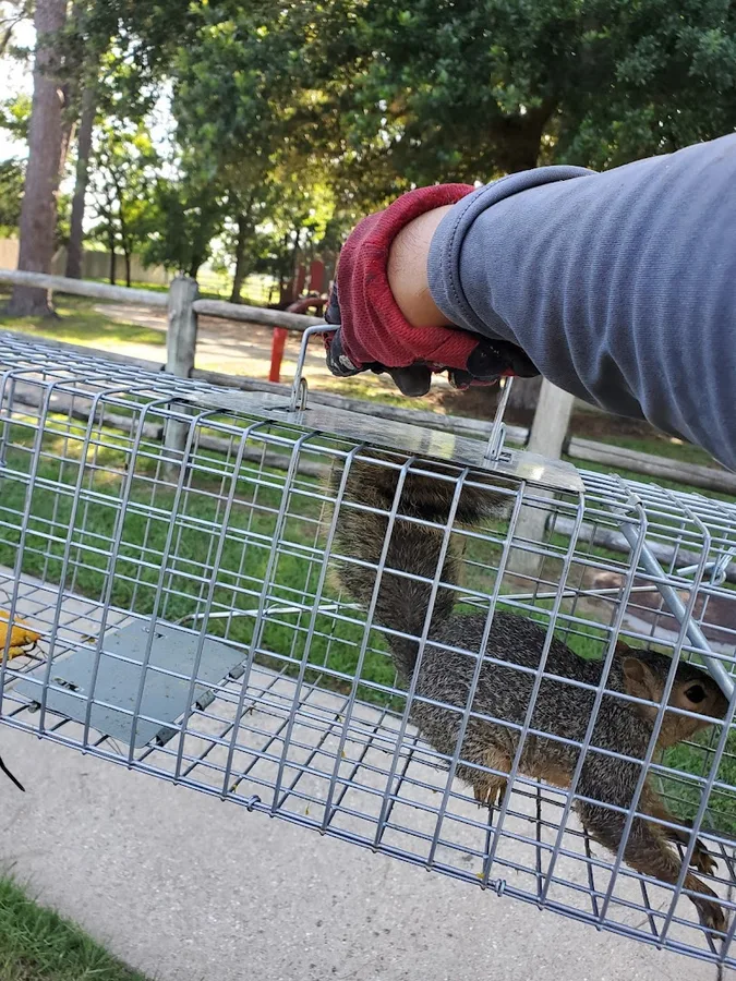 GetThem Pest Control — pest control in Houston, HARRIS County, TX