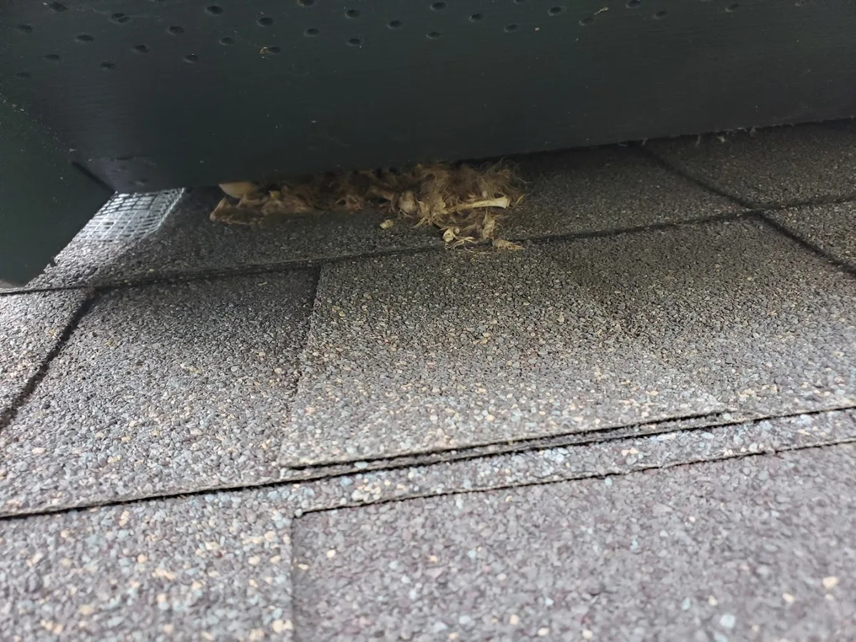 GetThem Pest Control in Houston, TX — business photo 3