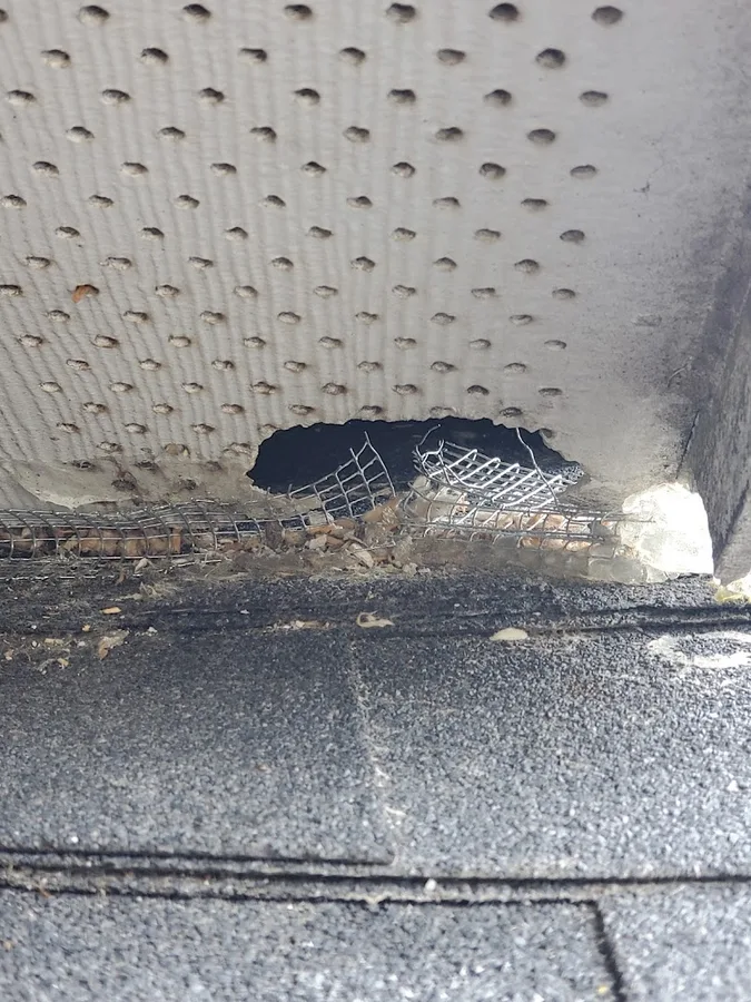 GetThem Pest Control in Houston, TX — business photo 5