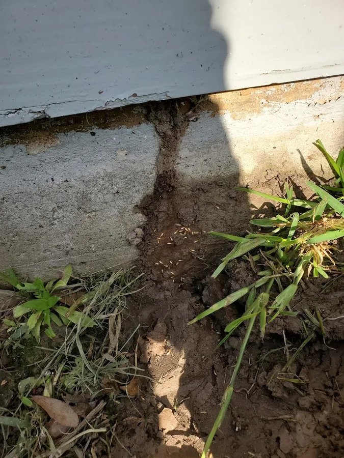 GetThem Pest Control in Houston, TX — business photo 6