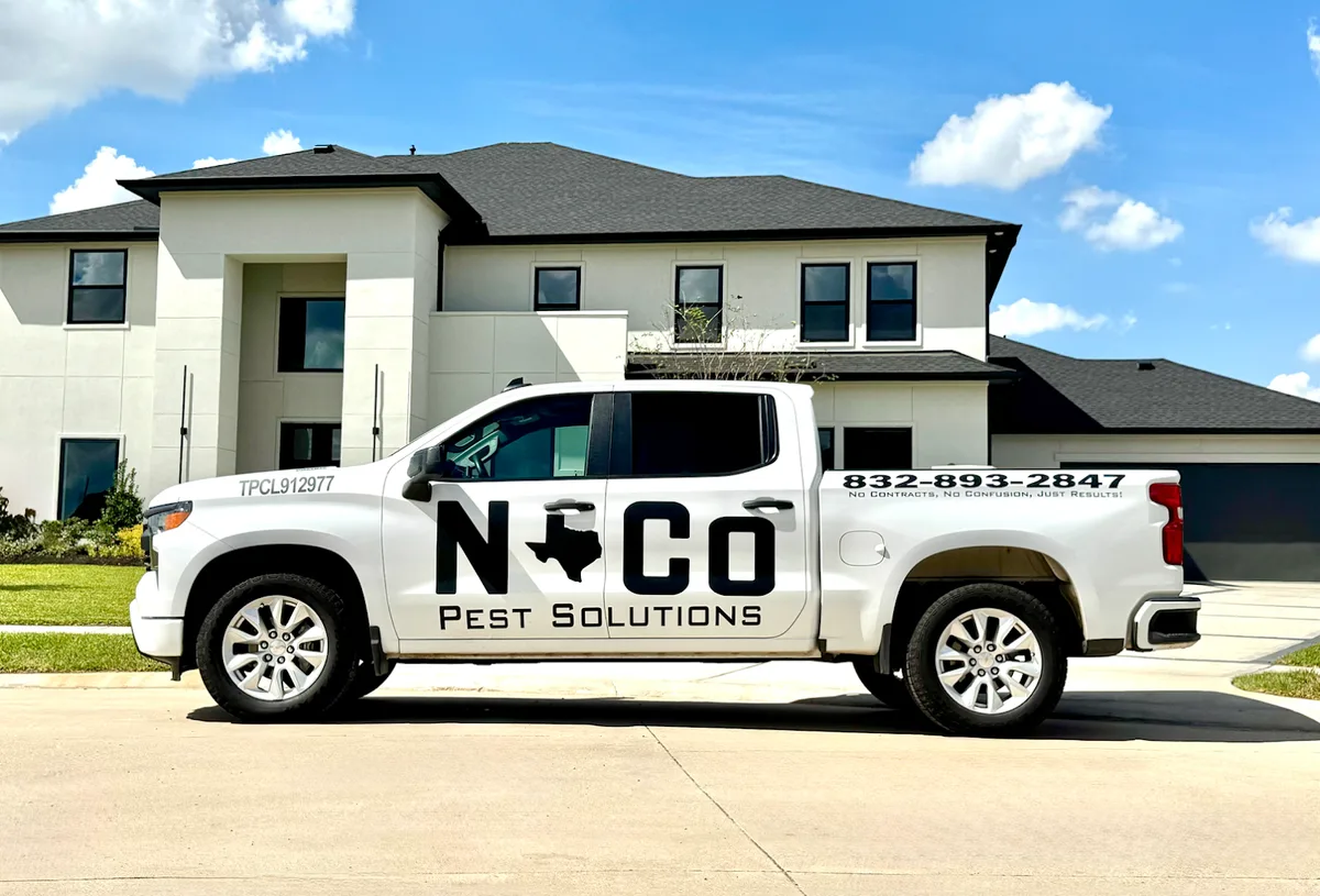 No Contract Pest Solutions — pest control in Missouri City, FORT BEND County, TX