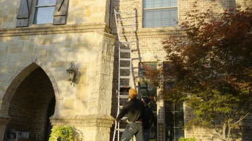 No Contract Pest Solutions in Missouri City, TX — business photo 5