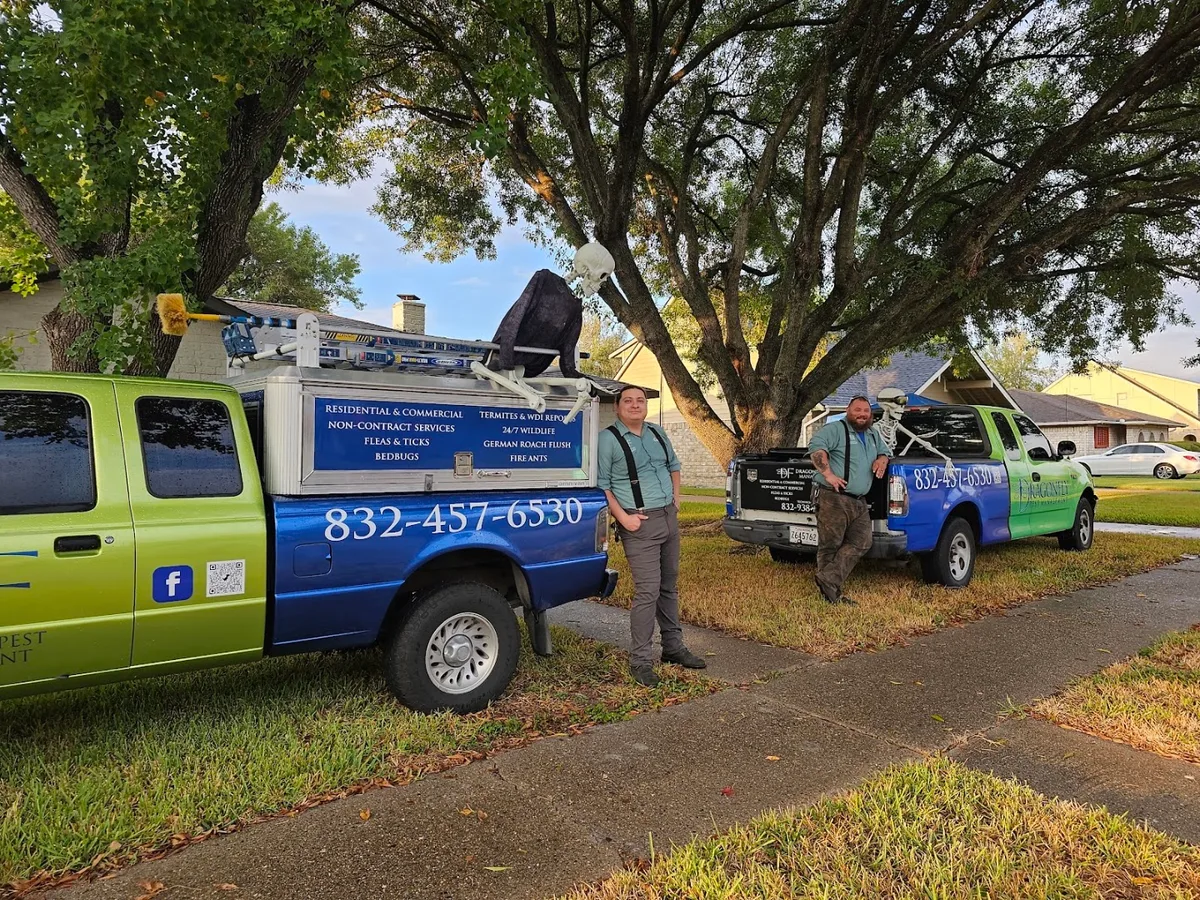 Dragonfly Pest Management — pest control in Pasadena, HARRIS County, TX
