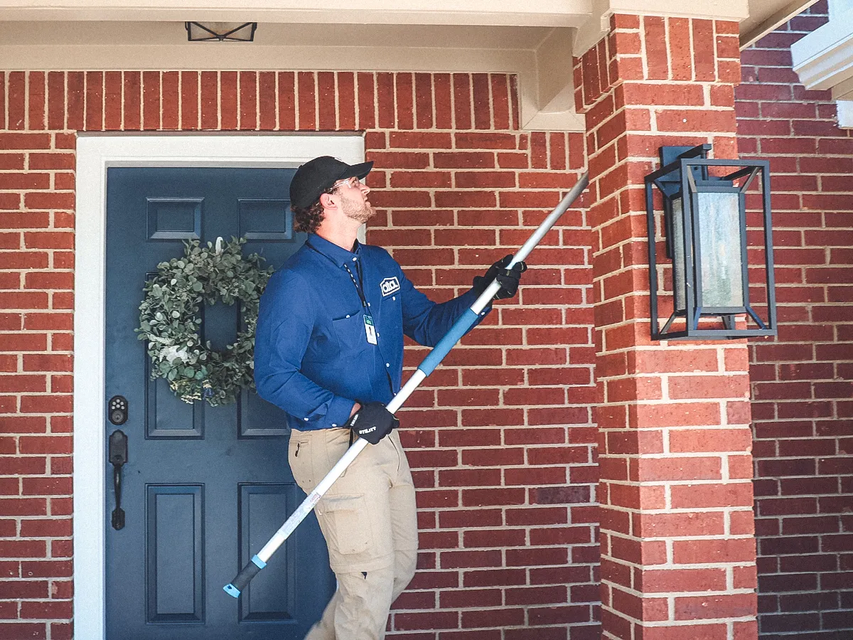 Alta Pest Control — pest control in San Antonio, BEXAR County, TX