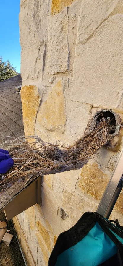 Triple Threat Pest Control LLC in San Antonio, TX — business photo 6