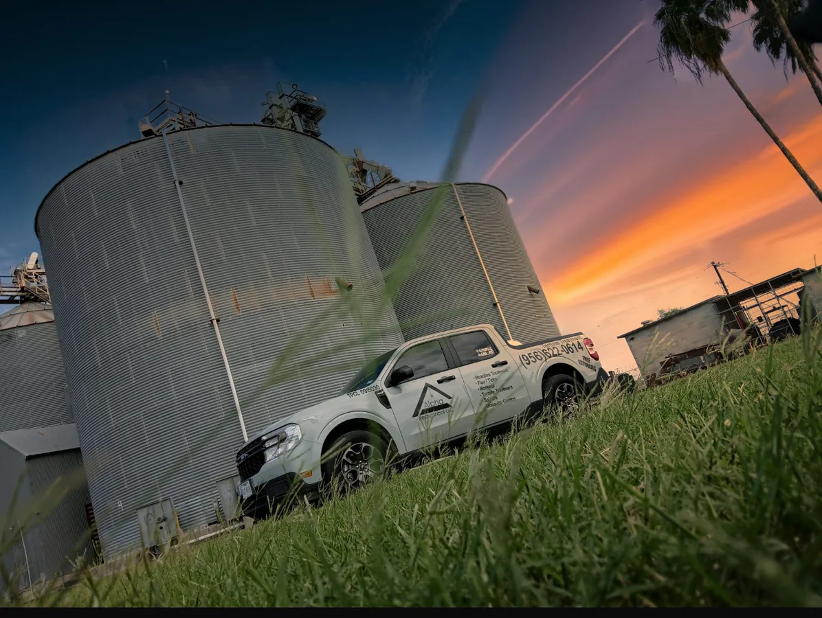 Alpha Pest Control , LLC in Brownsville, TX — business photo 4