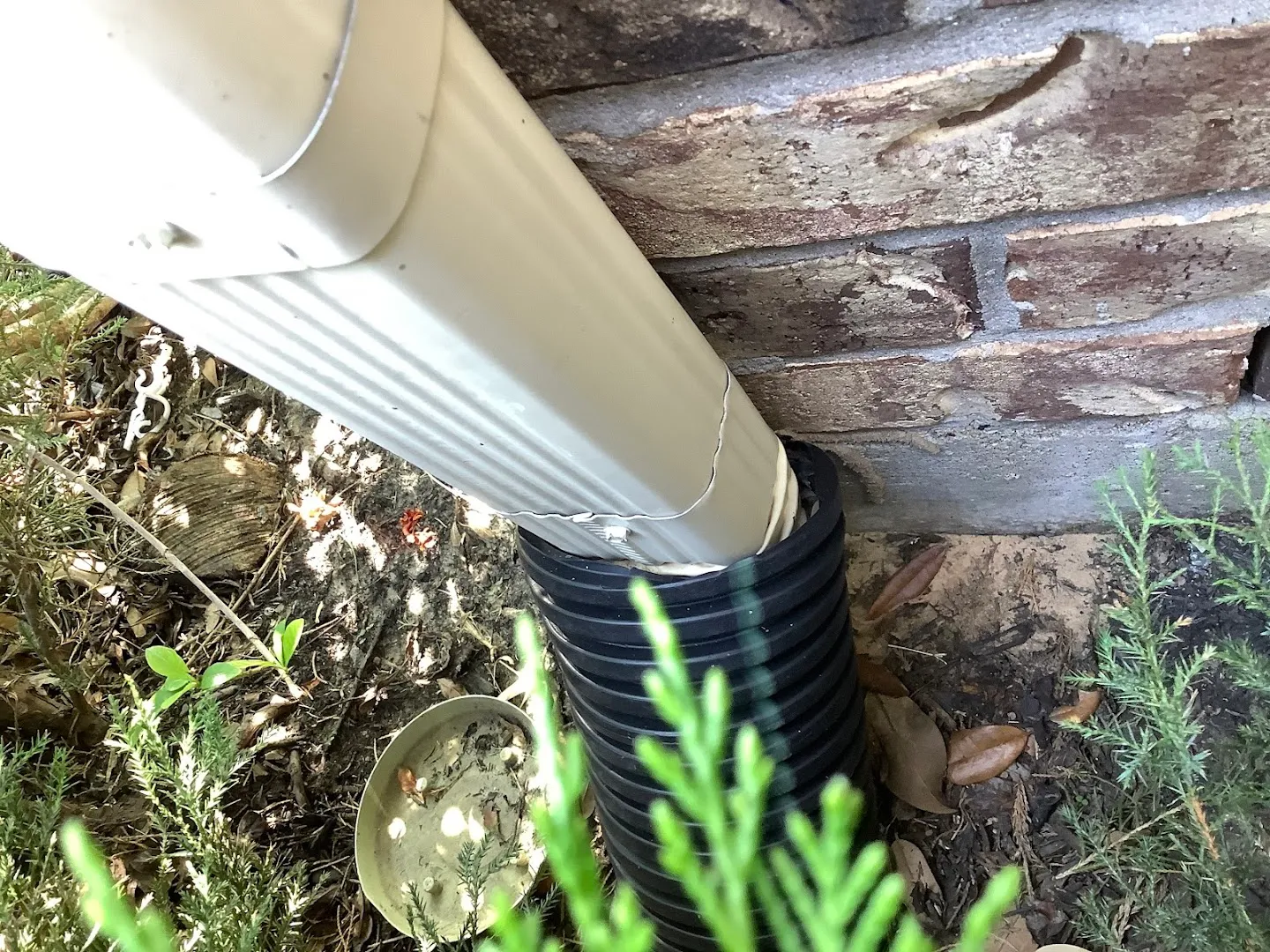 Alli Pest Control in Conroe, TX — business photo 3