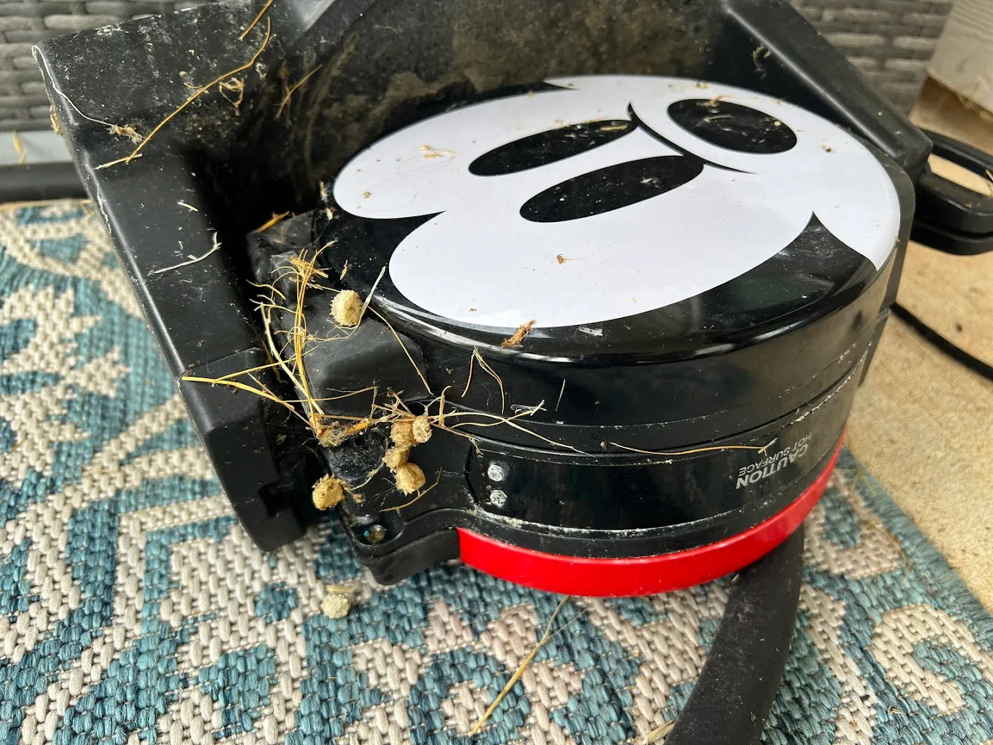 Alli Pest Control in Conroe, TX — business photo 4