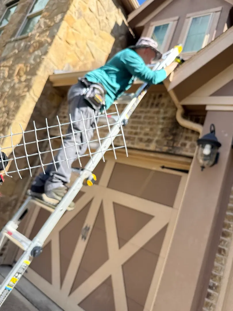 Alli Pest Control in Conroe, TX — business photo 6