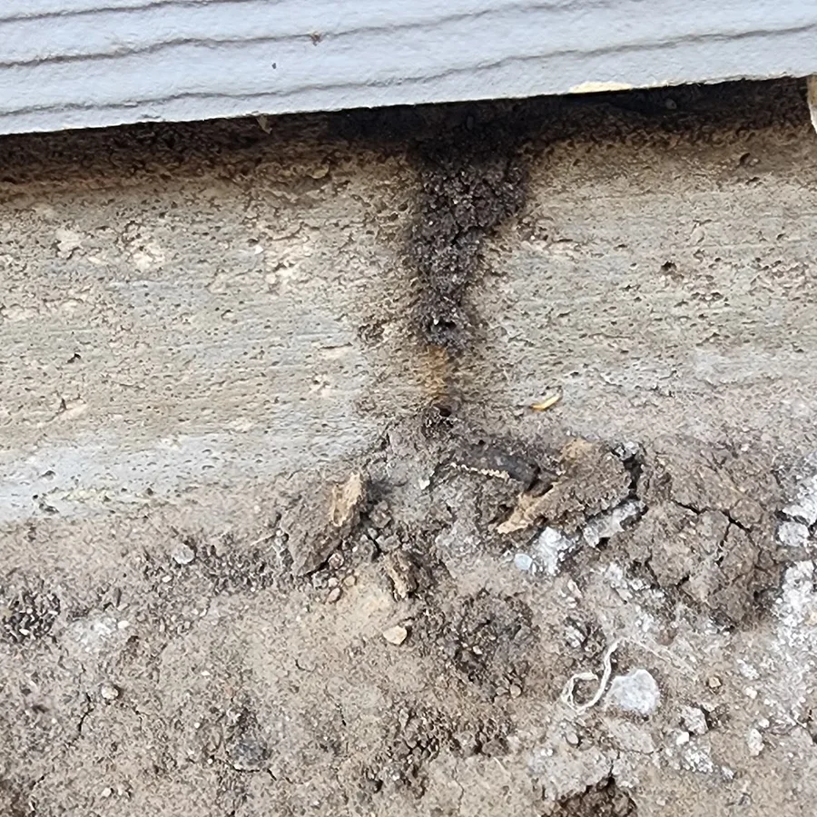 H&R Termite and Pest LLC in Rosharon, TX — business photo 2