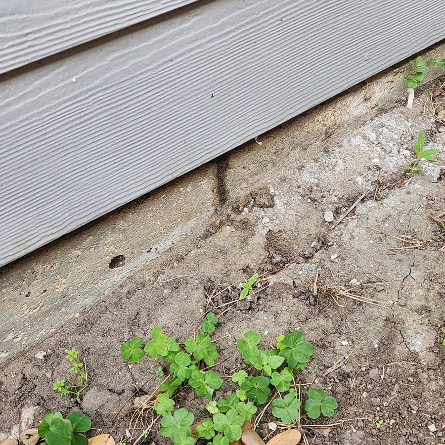 H&R Termite and Pest LLC in Rosharon, TX — business photo 3