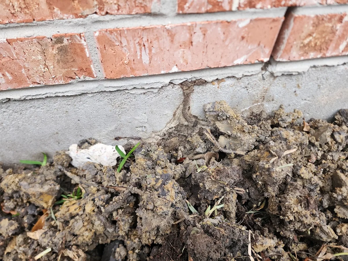 H&R Termite and Pest LLC in Rosharon, TX — business photo 4