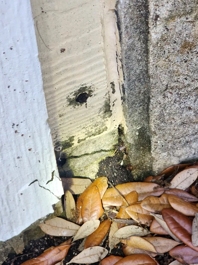 H&R Termite and Pest LLC in Rosharon, TX — business photo 5