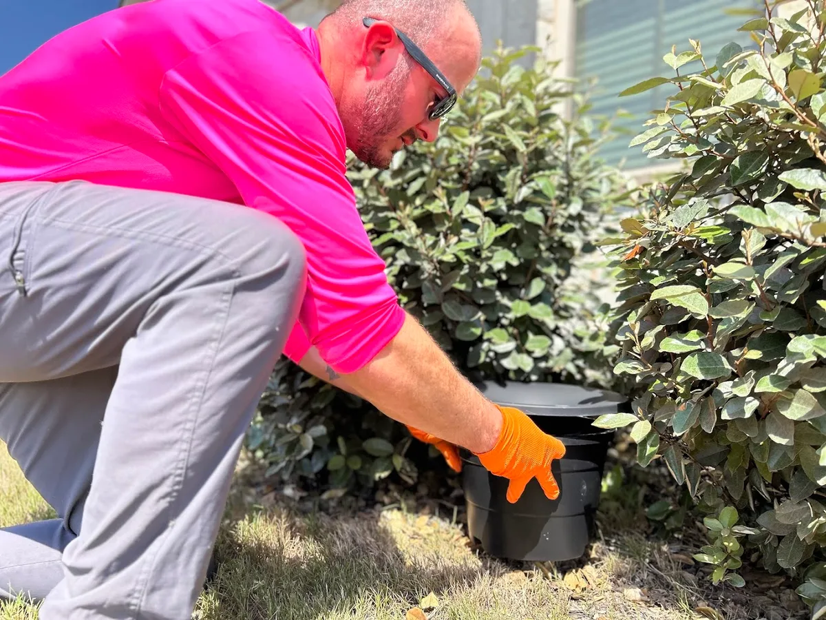Lemonade Pest — pest control in New Braunfels, COMAL County, TX