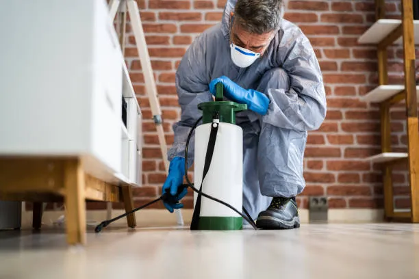 Hometop Pest Control — pest control in McKinney, COLLIN County, TX