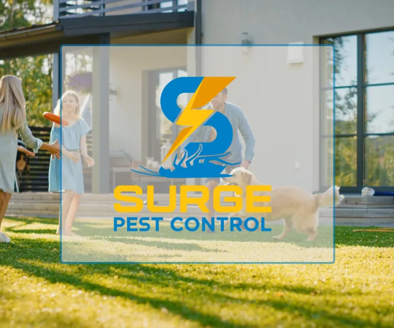 Surge Pest Control Leander — pest control in Leander, WILLIAMSON County, TX